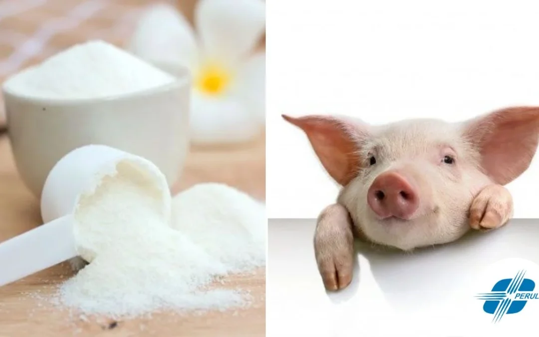 Qué es el colágeno hidrolizado de porcino y para qué sirve